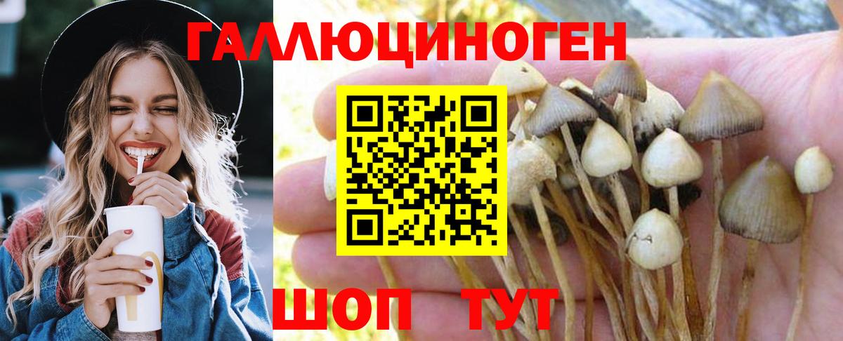 Новороссийск  Галлюциногенные грибы GOLDEN TEACHER  Псилоцибиновые грибы мухоморы  Вход с VPN 