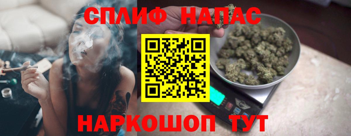 Каннабис OG Kush Новороссийск